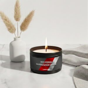 nico hulkenberg audi manifestation f1 candle, formula 1 candle, hulkenberg gift, funny formula 1 gift, handmade candle, f1 fan gift